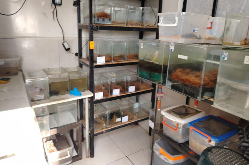 Centro de Conservación de Anfibios