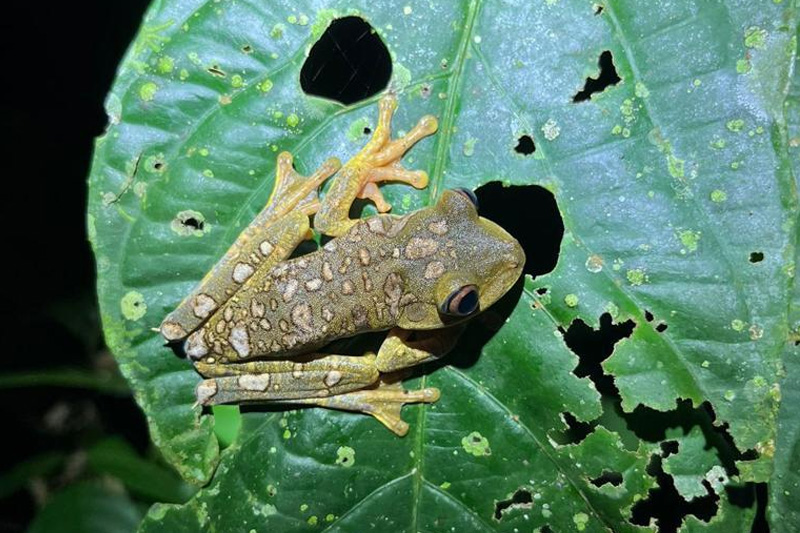 Centro de Conservación de Anfibios