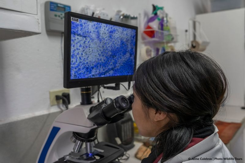 Centro de Conservación de Anfibios