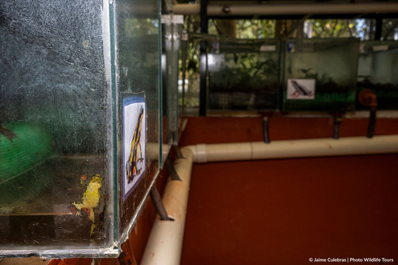Centro de Conservación de Anfibios
