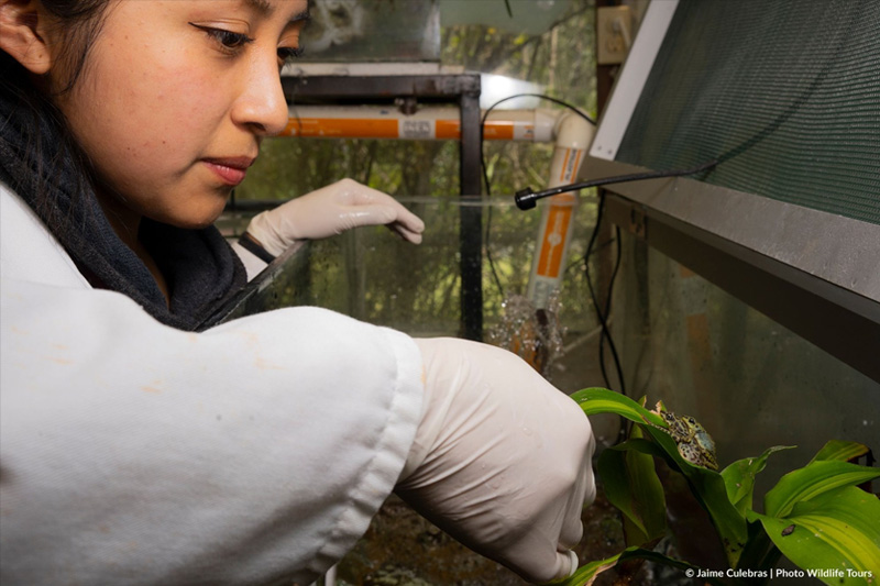 Centro de Conservación de Anfibios