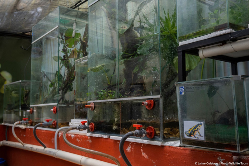 Centro de Conservación de Anfibios