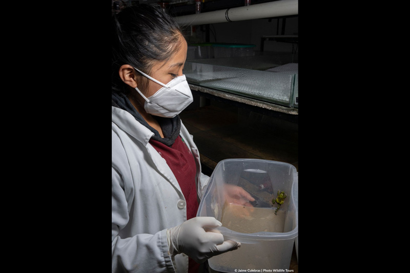 Centro de Conservación de Anfibios