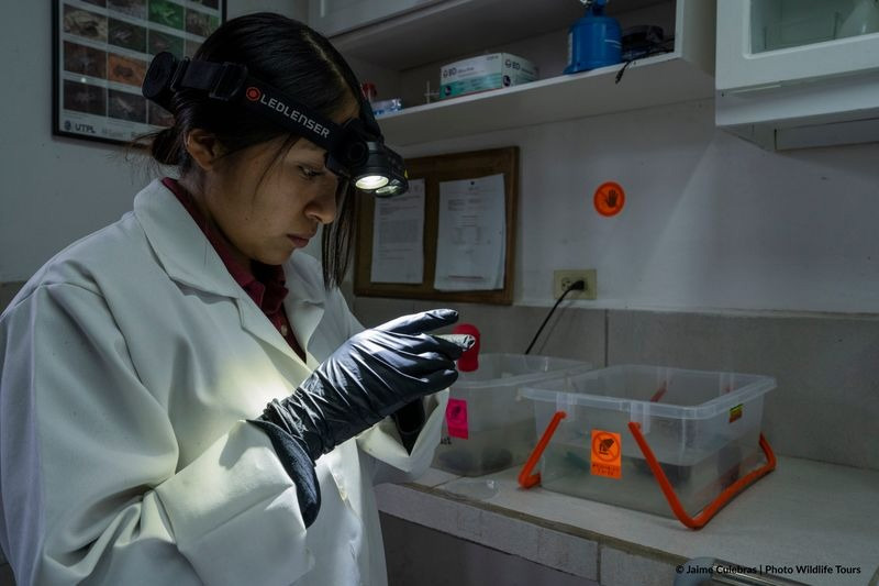 Centro de Conservación de Anfibios