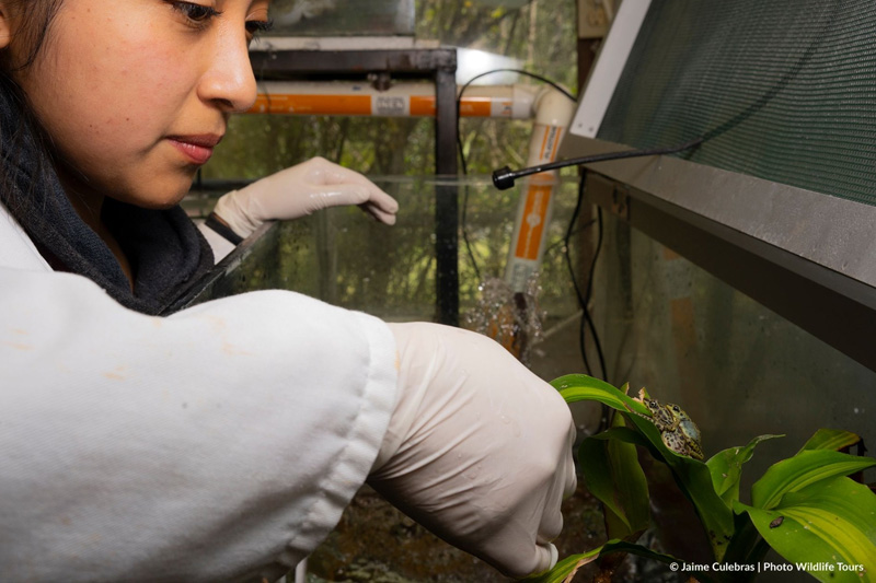 Centro de Conservación de Anfibios