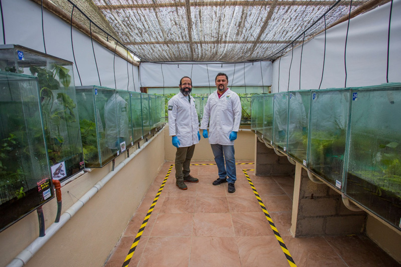 Centro de Conservación de Anfibios