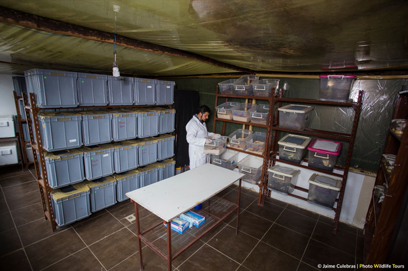 Centro de Conservación de Anfibios