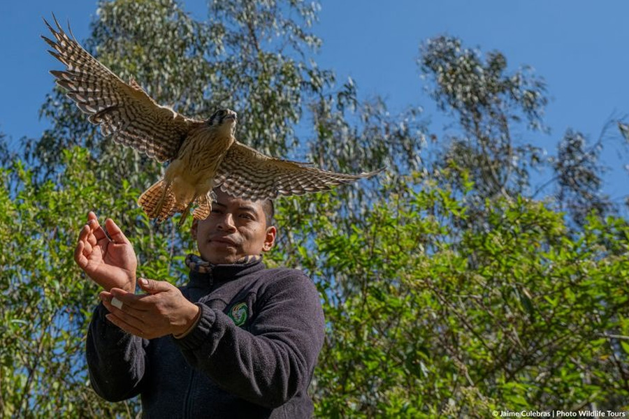 Centro de Rescate y Tránsito de Vida Silvestre