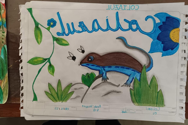 Guardianes de la Coliazul