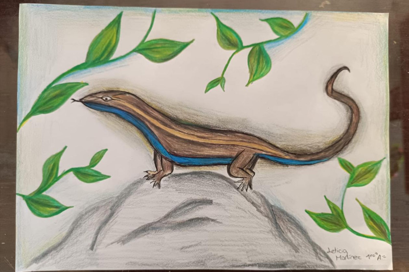 Guardianes de la Coliazul