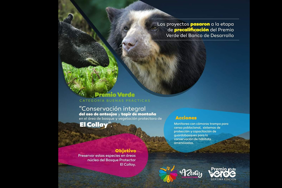 Oso Andino Proyectos de Conservación