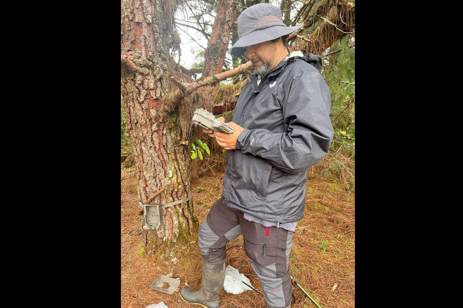 Oso Andino Proyectos de Conservación