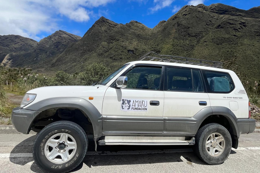 Oso Andino Proyectos de Conservación