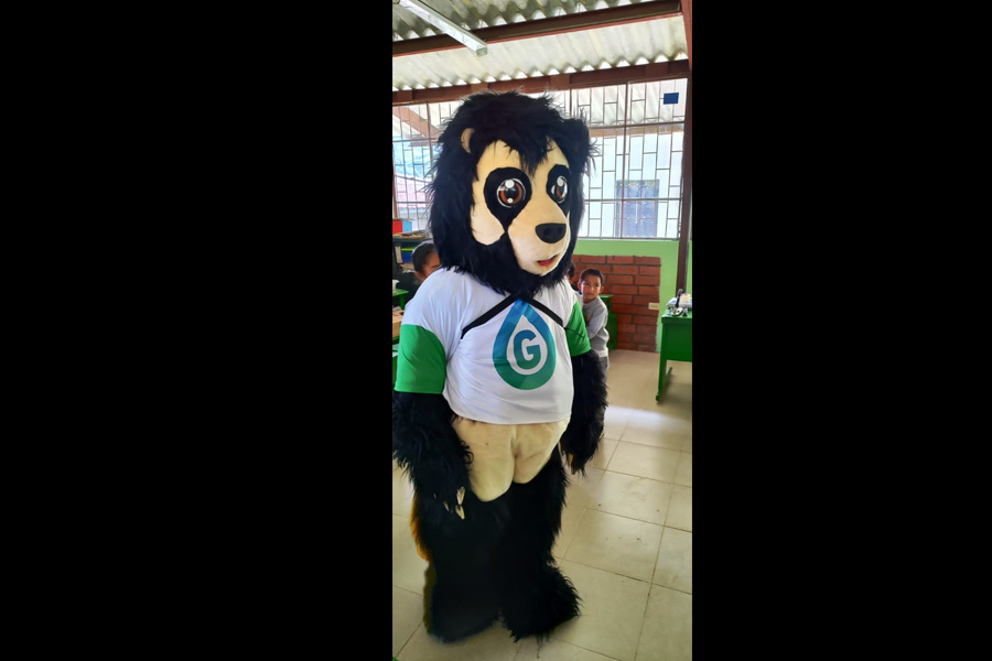 Oso Andino Proyectos de Conservación
