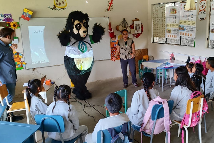 Oso Andino Proyectos de Conservación