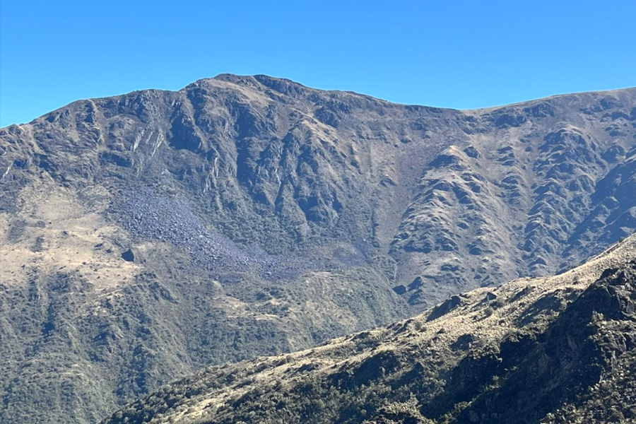 Oso Andino Proyectos de Conservación