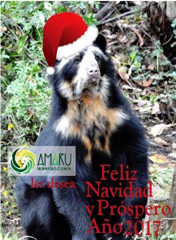 FELIZ NAVIDAD!!
