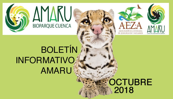 Boletín Octubre 2018