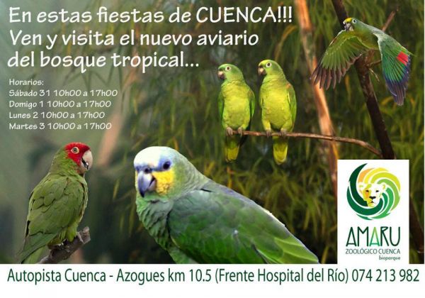NUEVO AVIARIO TROPICAL DE INMERSIÓN  INAUGURADO