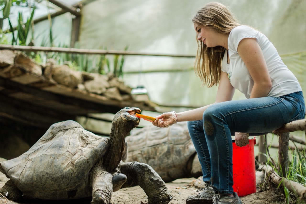 voluntariado Zoo Bioparque Amaru Cuenca