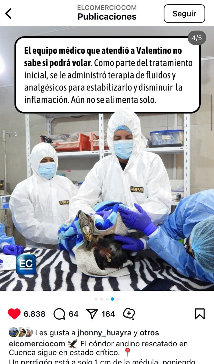 El equipo médico que atendió a Valentino no sabe si podrá volar
